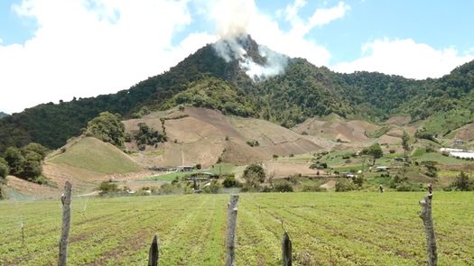 MiAmbiente dio a conocer que se hizo un levantamiento para registrar las especies que murieron producto del fuego en Cerro Punta.