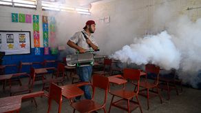 Dengue causa al menos 35 muertes en Centroamérica en 2024