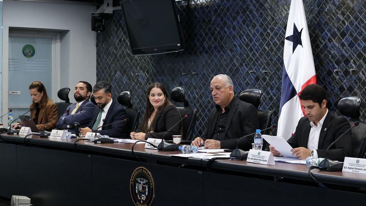 La propuesta fue prohijada en la Comisión de Gobierno de la Asamblea Nacional. La propuesta fue prohijada en la Comisión de Gobierno de la Asamblea Nacional.