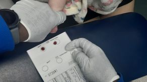 ¿Qué padecimientos pueden detectarle a tu hijo con la prueba del tamizaje neonatal?