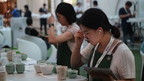 Un total de 50 lotes de cafés cultivados en Chiriquí van a subasta electrónica