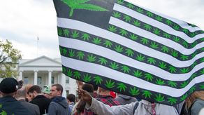 Consumo de marihuana recreativa en Florida será sometido a voto en noviembre