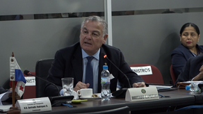 El contralor Anel Flores sustentó ante la Comisión de Presupuesto.