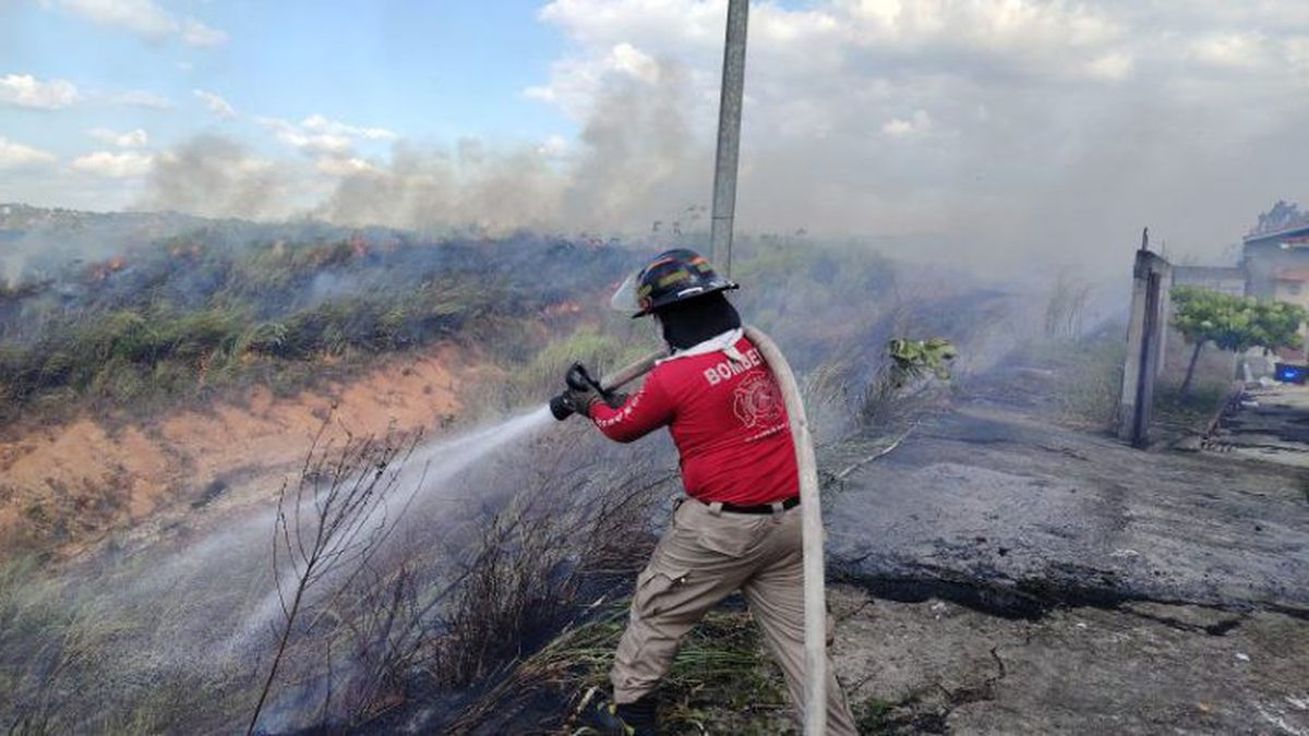 Bomberos atienden un total de 36,611 emergencias entre 2020 y 2025 Bomberos atienden un total de 36,611 emergencias entre 2020 y 2025