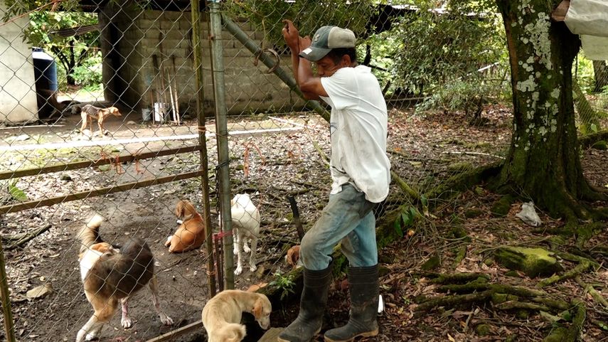 En estos momentos tiene bajo su cuidado a 18 perros en el refugio ubicado en la provincia de Chiriquí. En estos momentos tiene bajo su cuidado a 18 perros en el refugio ubicado en la provincia de Chiriquí. 