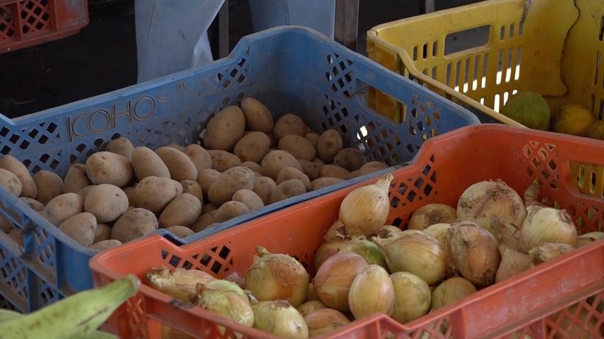 Panamá percibe reducción de precios en la papa y cebolla luego de más de tres meses