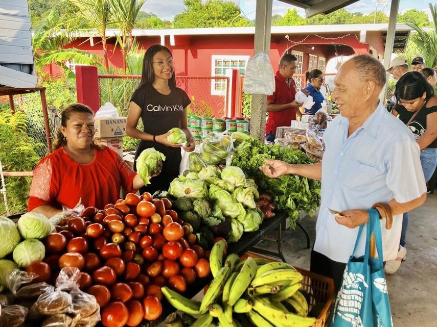 En las agroferias del IMA los panameños pueden adquirir productos de la canasta básica, frutas, verduras y otros productos a bajos costos. En las agroferias del IMA los panameños pueden adquirir productos de la canasta básica, frutas, verduras y otros productos a bajos costos.