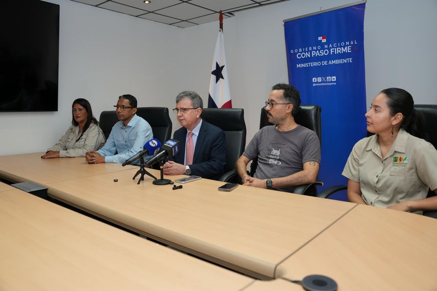 Este sábado, Panamá se une nuevamente a la gran celebración mundial del October Big Day, una jornada de ciencia ciudadana que conecta a miles de observadores de aves en todo el planeta, con el propósito de registrar en tiempo real la mayor cantidad posible de especies en un período de 24 horas. Este sábado, Panamá se une nuevamente a la gran celebración mundial del October Big Day, una jornada de ciencia ciudadana que conecta a miles de observadores de aves en todo el planeta, con el propósito de registrar en tiempo real la mayor cantidad posible de especies en un período de 24 horas.