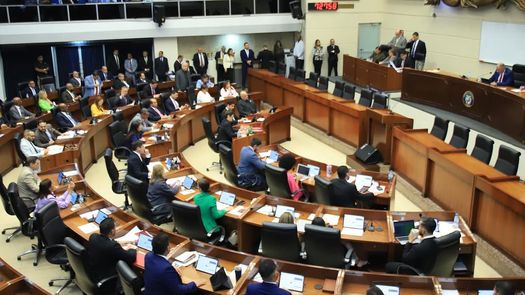 Asamblea Nacional definió por consensos 13 de las 15 comisiones permanentes