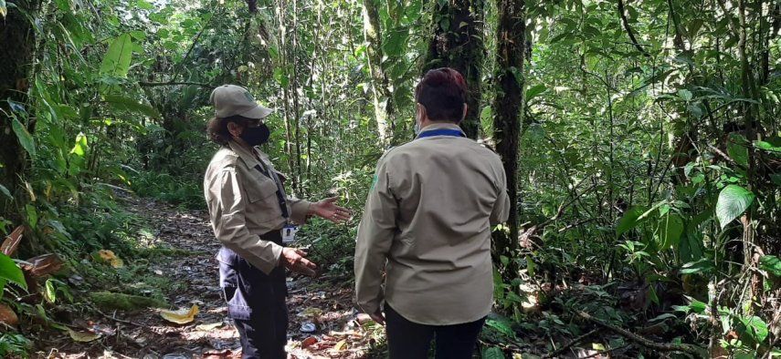 Sendero Panamá Verde
