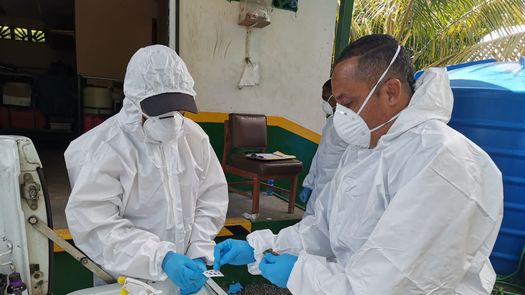 Minsa mantiene otro caso de hantavirus bajo observación y pide reforzar la prevención Minsa mantiene otro caso de hantavirus bajo observación y pide reforzar la prevención