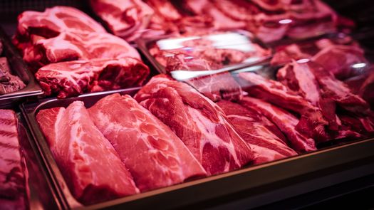 Estados Unidos es considerado un mercado de alto valor para la cadena ganadera y para la recuperación del sector agroexportador de Panamá. Estados Unidos es considerado un mercado de alto valor para la cadena ganadera y para la recuperación del sector agroexportador de Panamá.