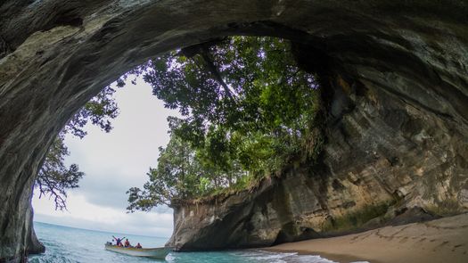 El Ministerio de Ambiente (MiAMBIENTE) oficializó la creación del Grupo de Trabajo para el fortalecimiento de la gestión del Paisaje Protegido Isla Escudo de Veraguas-Degó (PPEV), mediante la Resolución No. DM-0039-2026 de 29 de enero de 2026, publicada en la Gaceta Oficial No. 30462-B. El Ministerio de Ambiente (MiAMBIENTE) oficializó la creación del Grupo de Trabajo para el fortalecimiento de la gestión del Paisaje Protegido Isla Escudo de Veraguas-Degó (PPEV), mediante la Resolución No. DM-0039-2026 de 29 de enero de 2026, publicada en la Gaceta Oficial No. 30462-B.