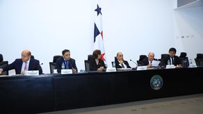 Recursos de la CSS serían utilizados en inversiones en el país