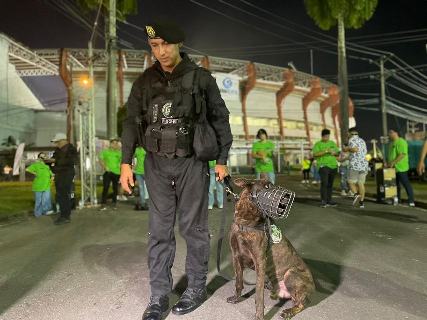 Concierto de Bad Bunny en Panamá, sin incidencias