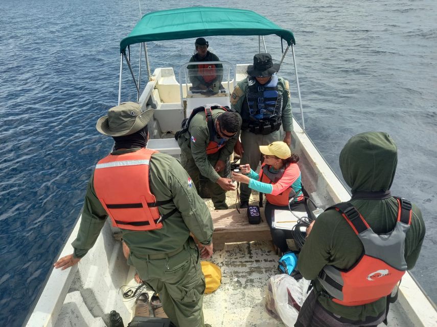 MiAmbiente lidera monitoreo de megafauna marina en el Parque Nacional Coiba