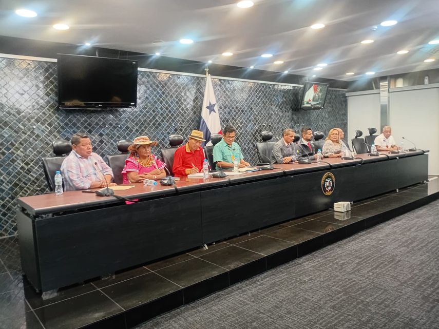 Coordinadora de Pueblos Indígenas solicita a los diputados derogar la Ley 462