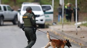 La designación del Clan del Golfo como organización terrorista extranjera por parte del Gobierno de Estados Unidos (EEUU) sucede en un momento de alta tensión diplomática con Colombia y mientras el Ejecutivo de Gustavo Petro mantiene acercamientos con ese grupo armado para una negociación de paz.&nbsp;