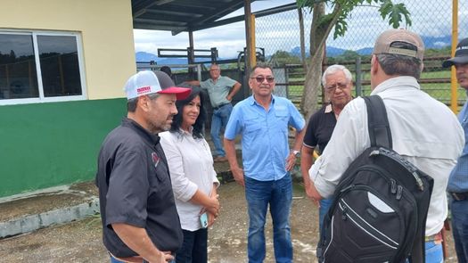 En este momento el laboratorio en Chiriquí tiene la capacidad de producir 400 pajuelas por día y con la impresora automática para pajuelas que se está adquiriendo se aumenta considerablemente esa capacidad.