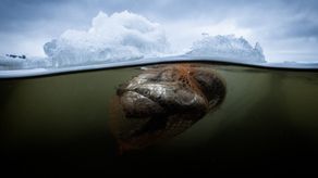 COP28 aborda la urgencia de reducir emisiones por el metano