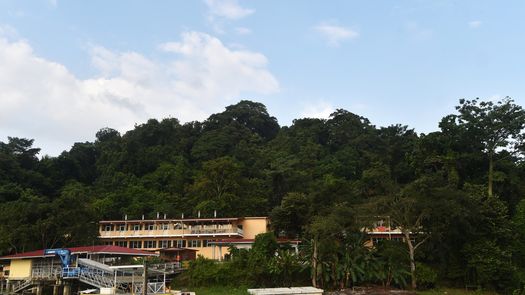 El Lago Gatún es una de las principales fuentes hídricas del Canal de Panamá.
