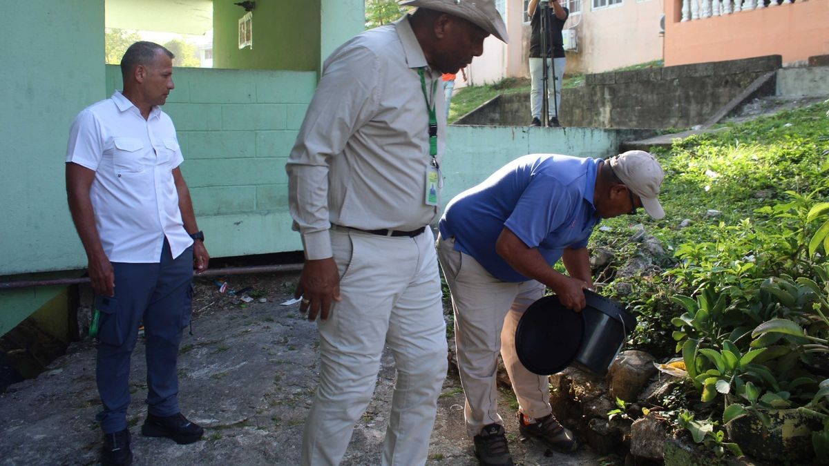 El distrito de San Miguelito ha logrado una importante disminución de los casos de dengue. Hasta la semana epidemiológica N.º 19 se han reportado 230 casos, lo que representa una reducción de más de mil contagios en comparación con el mismo período del año pasado. El distrito de San Miguelito ha logrado una importante disminución de los casos de dengue. Hasta la semana epidemiológica N.º 19 se han reportado 230 casos, lo que representa una reducción de más de mil contagios en comparación con el mismo período del año pasado.
