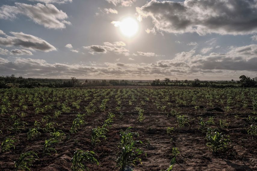 El Niño se intensificará hasta alcanzar su máximo en diciembre, alerta la ONU