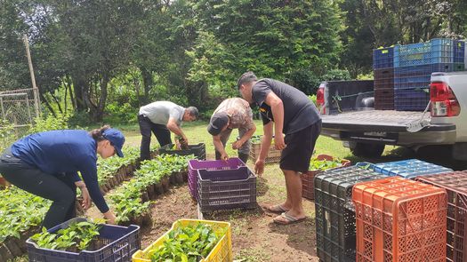 Productores presentan logros sostenibles en taller final de Escuelas de Campo en Bugaba