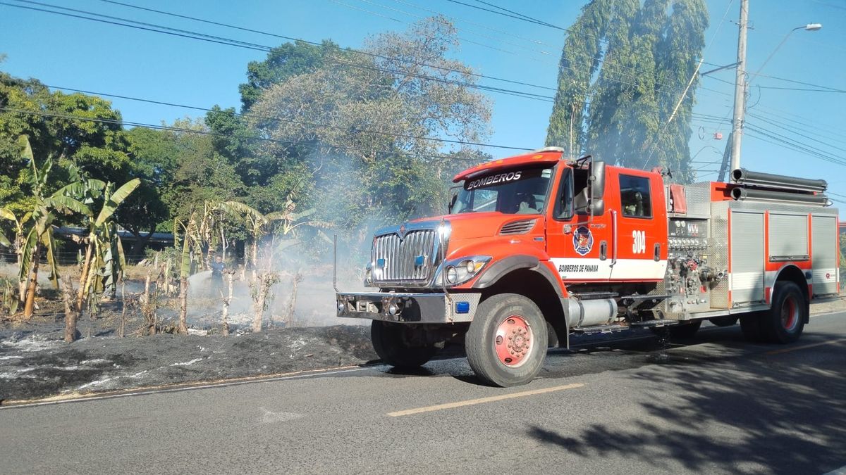 El Benemérito Cuerpo de Bomberos de la República de Panamá (BCBRP) informó que durante el mes de enero se registraron 290 incendios de masa vegetal (IMAVE) a nivel nacional. El Benemérito Cuerpo de Bomberos de la República de Panamá (BCBRP) informó que durante el mes de enero se registraron 290 incendios de masa vegetal (IMAVE) a nivel nacional.