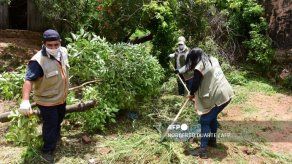 Estudio sobre el dengue en Indonesia aporta esperanzas para contener el virus