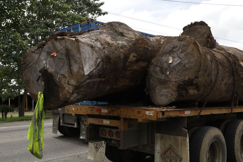MiAMBIENTE suspende movilización de madera durante los fines de semana