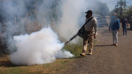 Panamá registra 103 casos por dengue en lo que va del año