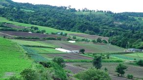 El MIDA indica que señaló que quienes quieran incorporar sus fincas en Chiriquí, deben cumplir con lo establecido en la ley 240 sobre agroturismo con actividad agrícola activa al 100 %.