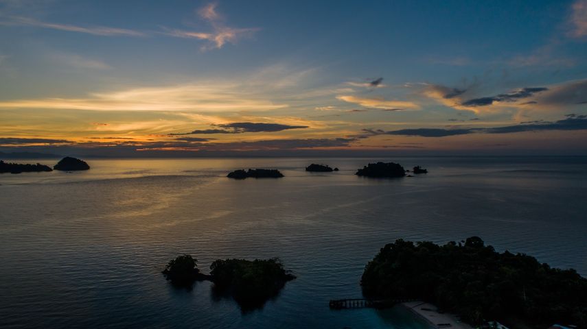 Panamá toma delantera en gestión de conflictos entre humanos y fauna silvestre. Panamá toma delantera en gestión de conflictos entre humanos y fauna silvestre.