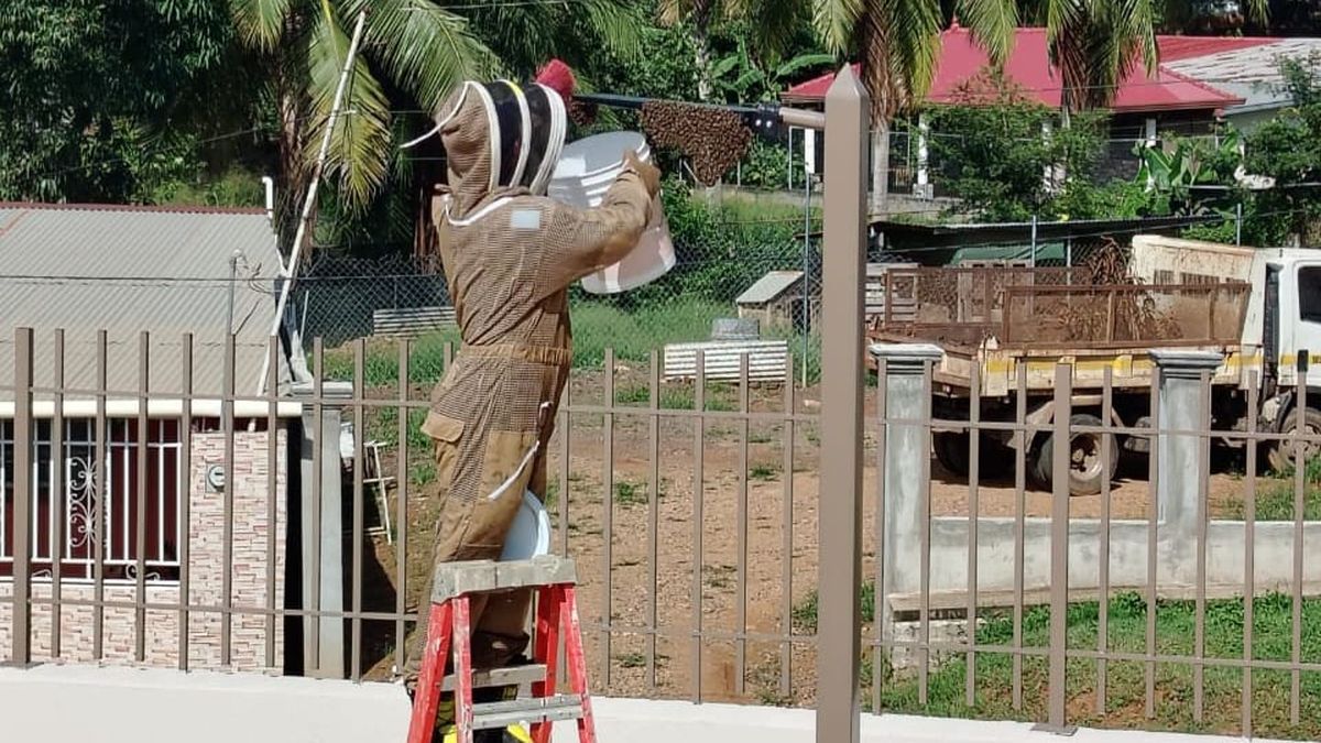 Bomberos piden a la población mantener medidas de prevención. Bomberos piden a la población mantener medidas de prevención.