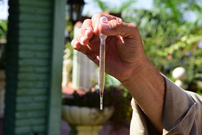 Minsa confirma seis defunciones y 2 mil179 casos de dengue