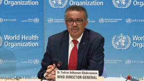 La OMS lanza un comité de evaluación sobre la gestión de la pandemia