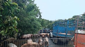 MIDA conforma comisiones para evaluar afectaciones por lluvias al sector productivo