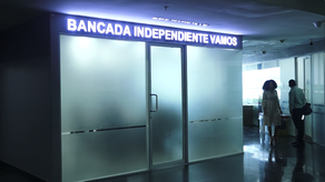 Coalición Vamos expulsa a tres diputados suplentes en medio del escándalo de planillas