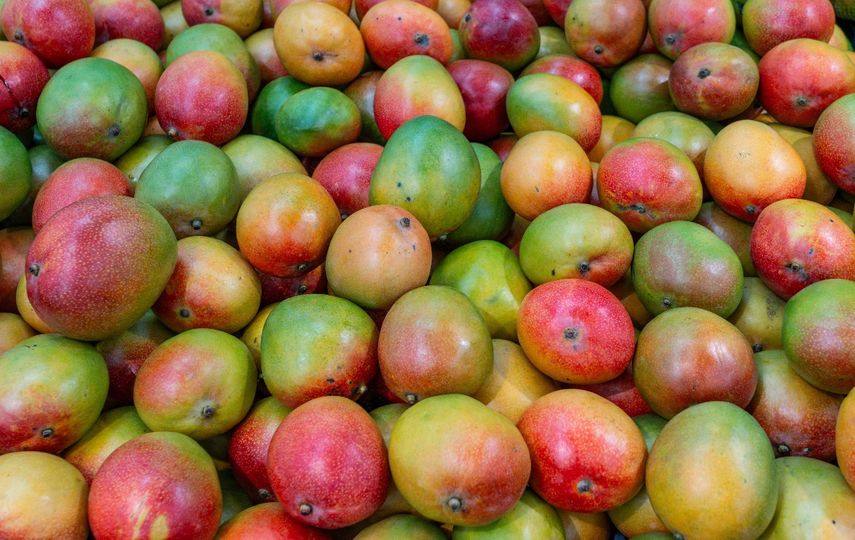 Panamá y EEUU fortalecen alianza para aumentar exportación de frutas frescas
