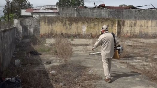 A la fecha se han contabilizado 79 casos de dengue clásico por el departamento de control de vectores del MINSA en Chiriquí.