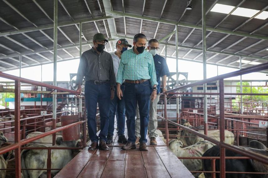 Plan Colmena entregó más de B/.2 millones en beneficios