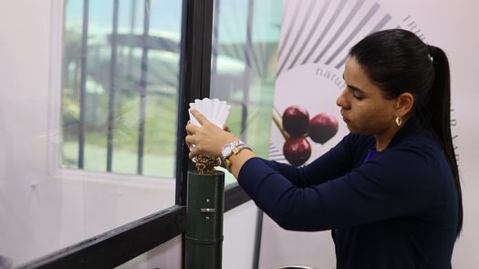 Los productores panameños sacaron lo mejor de lo mejor de su producción para presentarla ante el exigente paladar de 21 jueces nacionales, experimentados catadores en Best of Panama.