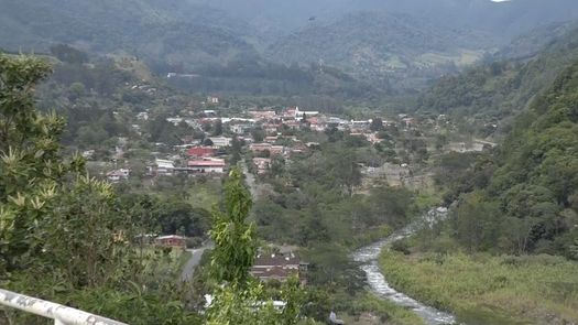 Quienes visiten Boquete, además de las actividades festivas y el desfile podrán optar por diversas actividades con recorridos en parques públicos y privados, la feria de las flores y el café, además de disfrutar la gastronomía local e internacional.
