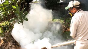 La llegada de las lluvias ha provocado unos 75 casos de dengue clásico causados por el mosquito aedes aegypti en al provincia de Chiriquí.