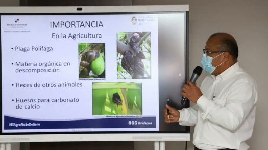 Las autoridades han reforzado los puntos fronterizos del país.