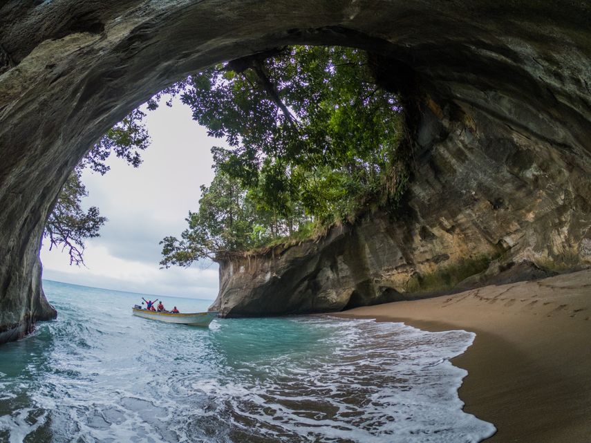 El Ministerio de Ambiente (MiAMBIENTE) oficializó la creación del Grupo de Trabajo para el fortalecimiento de la gestión del Paisaje Protegido Isla Escudo de Veraguas-Degó (PPEV)