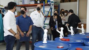 MICI realiza jornada de trabajo con MIPYMES