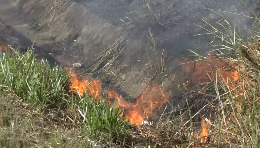 Más de 100 incendios de masa vegetal han sido atendidos por el Cuerpo de Bomberos de David.