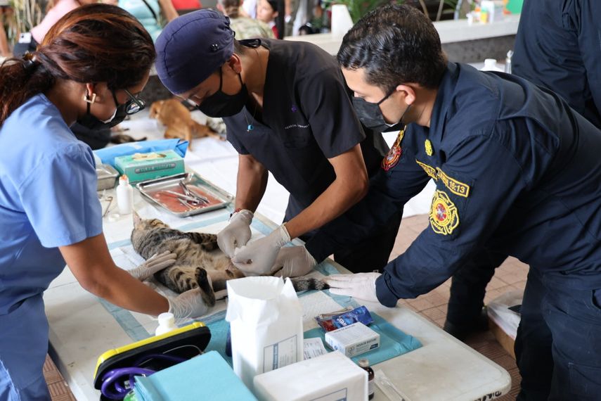 Alcaldía de Panamá y veterinarios del buque hospital realizaron esterilización gratuita de mascotas